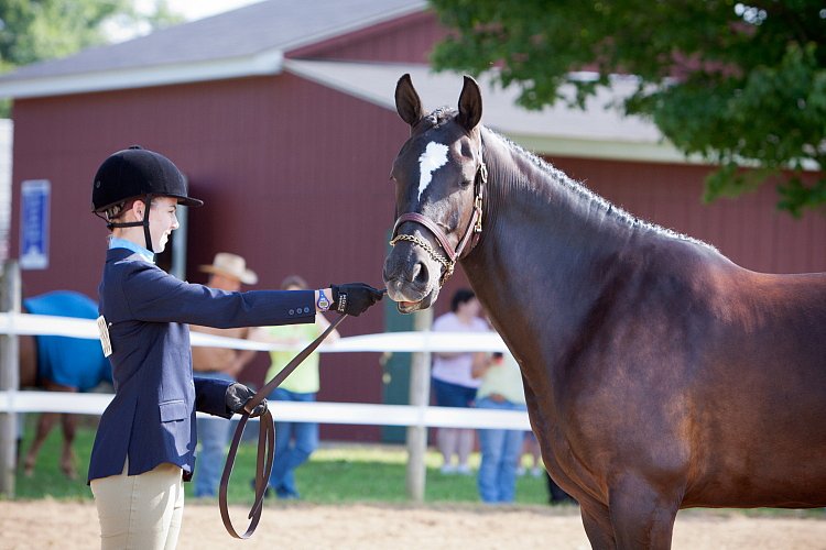 4H-Fun-Show-060912-035.JPG