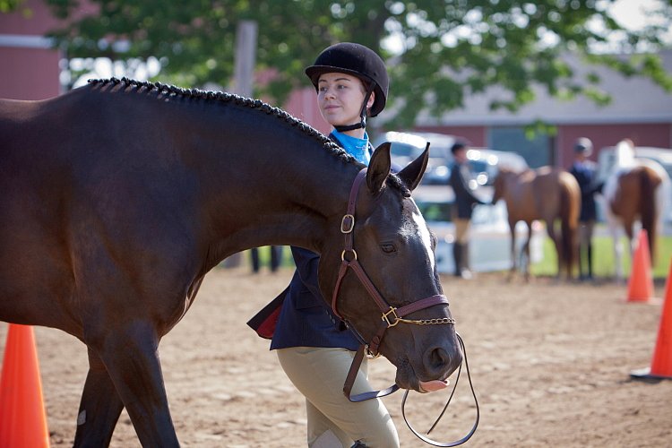 4H-Fun-Show-060912-036.JPG