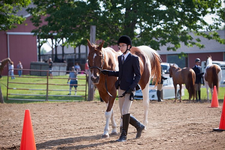 4H-Fun-Show-060912-038.JPG