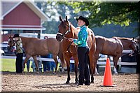 4H-Fun-Show-060912-025.JPG