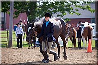 4H-Fun-Show-060912-033.JPG