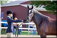 4H-Fun-Show-060912-035.JPG