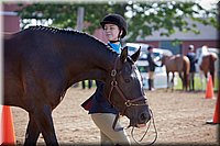 4H-Fun-Show-060912-036.JPG