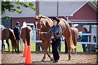 4H-Fun-Show-060912-041.JPG