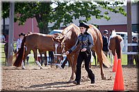 4H-Fun-Show-060912-042.JPG