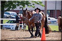 4H-Fun-Show-060912-052.JPG