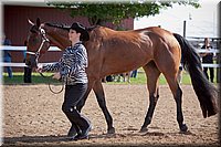 4H-Fun-Show-060912-055.JPG