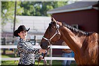 4H-Fun-Show-060912-056.JPG