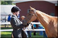 4H-Fun-Show-060912-089.JPG