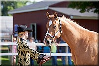 4H-Fun-Show-060912-095.JPG