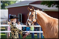 4H-Fun-Show-060912-096.JPG