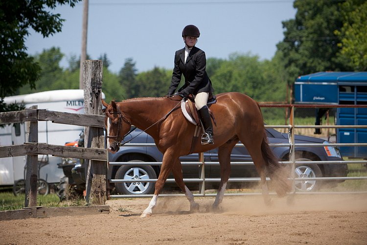 4H-Fun-Show-060912-500.JPG