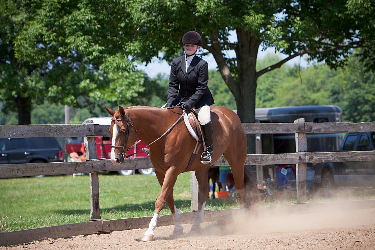 4H-Fun-Show-060912-501.JPG