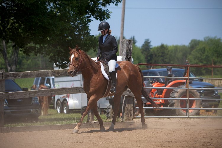 4H-Fun-Show-060912-502.JPG