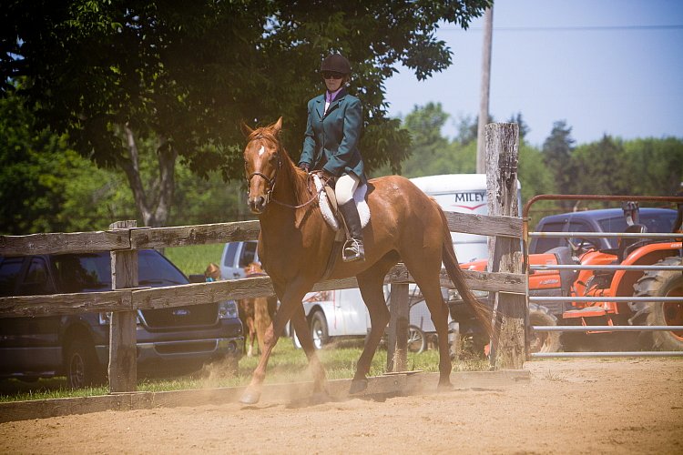 4H-Fun-Show-060912-505.JPG