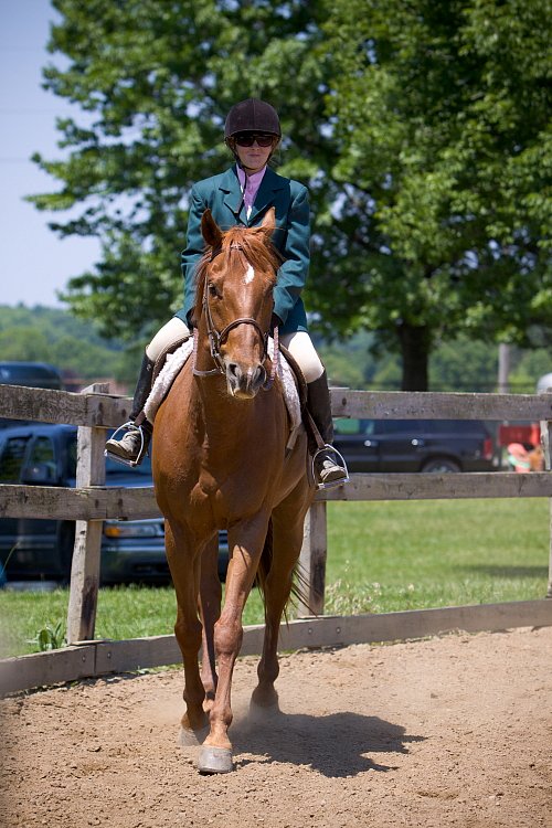 4H-Fun-Show-060912-506.JPG