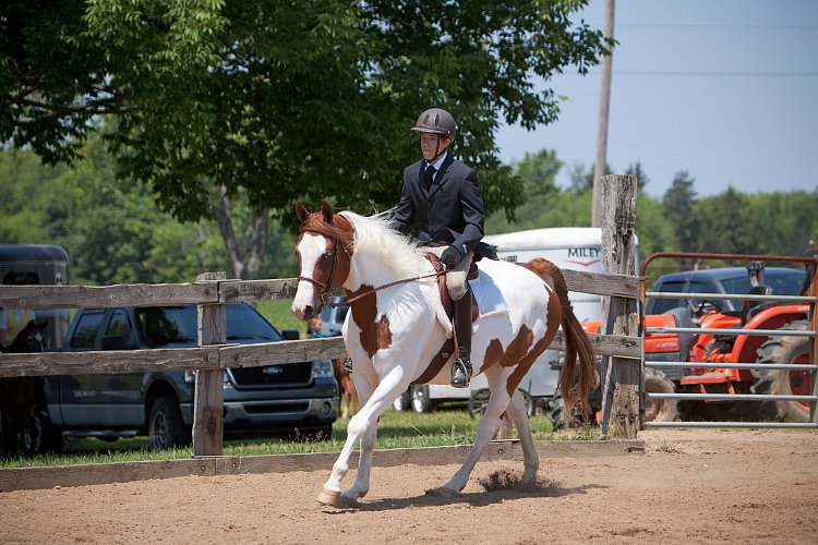 4H-Fun-Show-060912-510.JPG