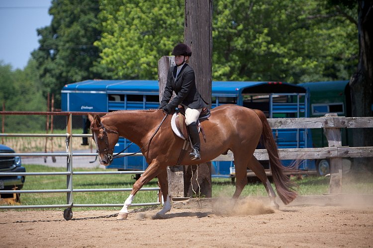 4H-Fun-Show-060912-512.JPG