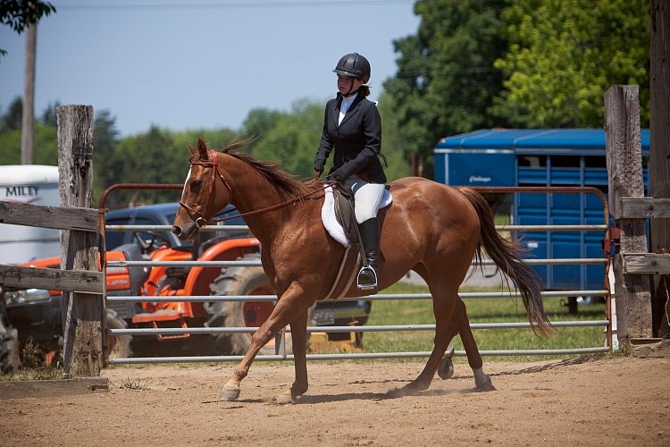 4H-Fun-Show-060912-513.JPG