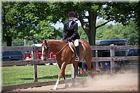 4H-Fun-Show-060912-501.JPG