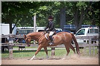 4H-Fun-Show-060912-511.JPG