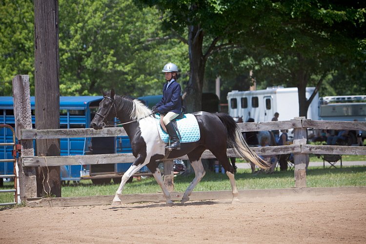 4H-Fun-Show-060912-518.JPG