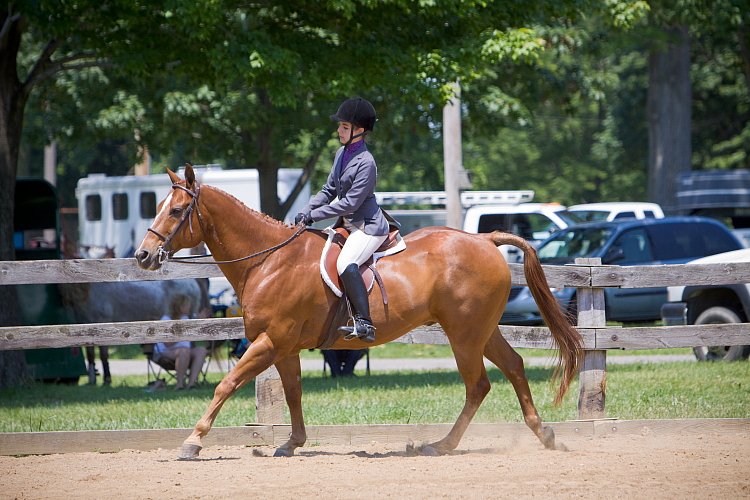 4H-Fun-Show-060912-525.JPG