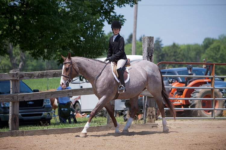 4H-Fun-Show-060912-531.JPG