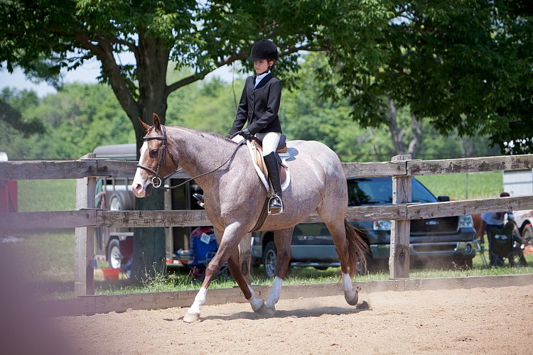 4H-Fun-Show-060912-532.JPG