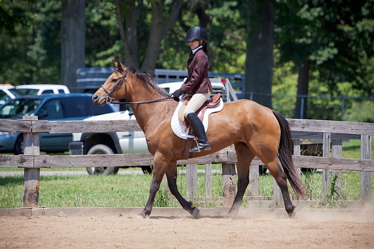 4H-Fun-Show-060912-533.JPG