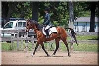 4H-Fun-Show-060912-521.JPG