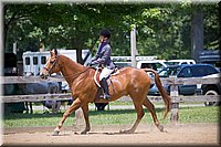 4H-Fun-Show-060912-525.JPG