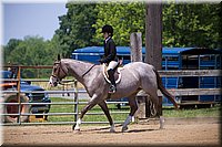 4H-Fun-Show-060912-530.JPG