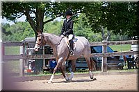 4H-Fun-Show-060912-532.JPG