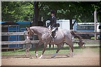 4H-Fun-Show-060912-535.JPG