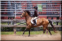 4H-Fun-Show-060912-537.JPG