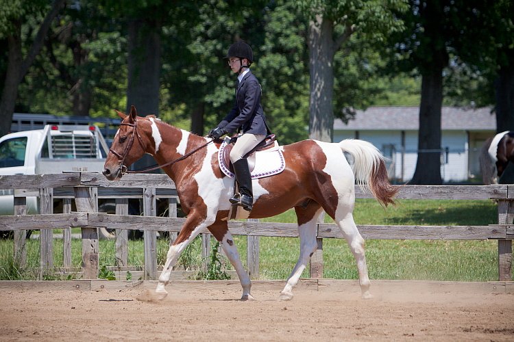 4H-Fun-Show-060912-479.JPG