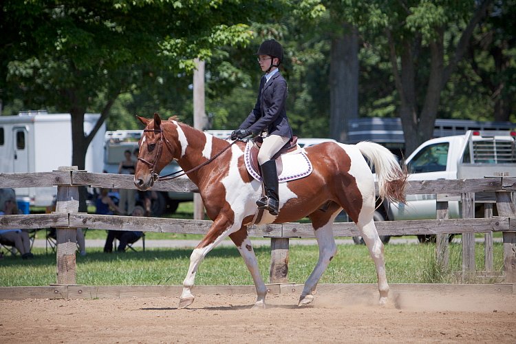 4H-Fun-Show-060912-480.JPG