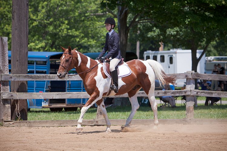 4H-Fun-Show-060912-481.JPG