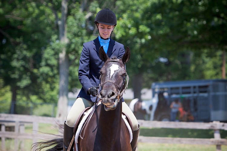 4H-Fun-Show-060912-482.JPG