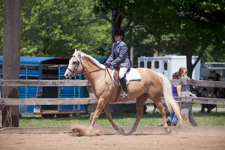 4H-Fun-Show-060912-484.JPG