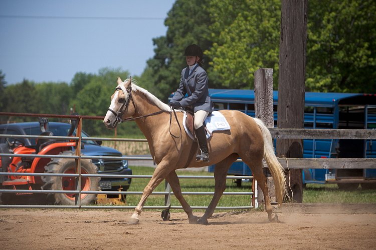 4H-Fun-Show-060912-485.JPG