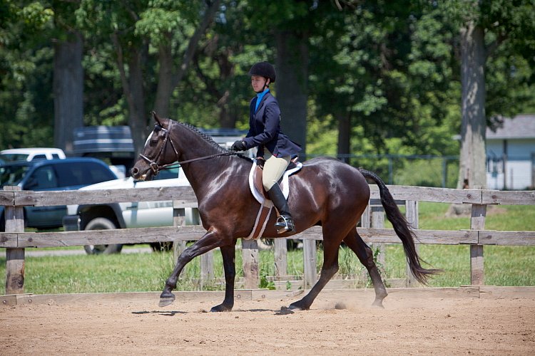 4H-Fun-Show-060912-486.JPG