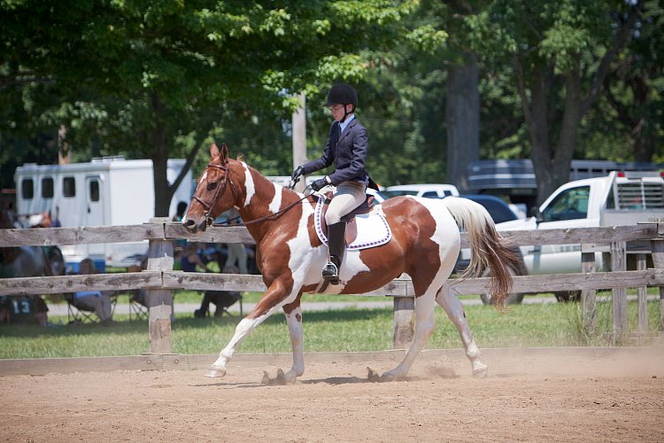 4H-Fun-Show-060912-488.JPG