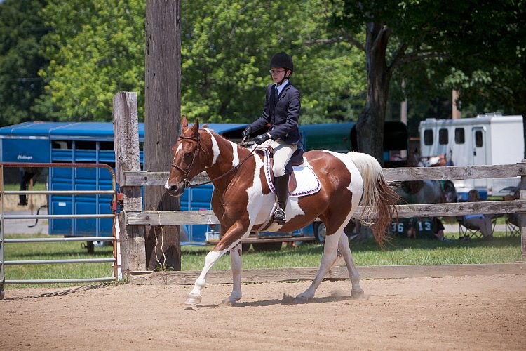 4H-Fun-Show-060912-489.JPG