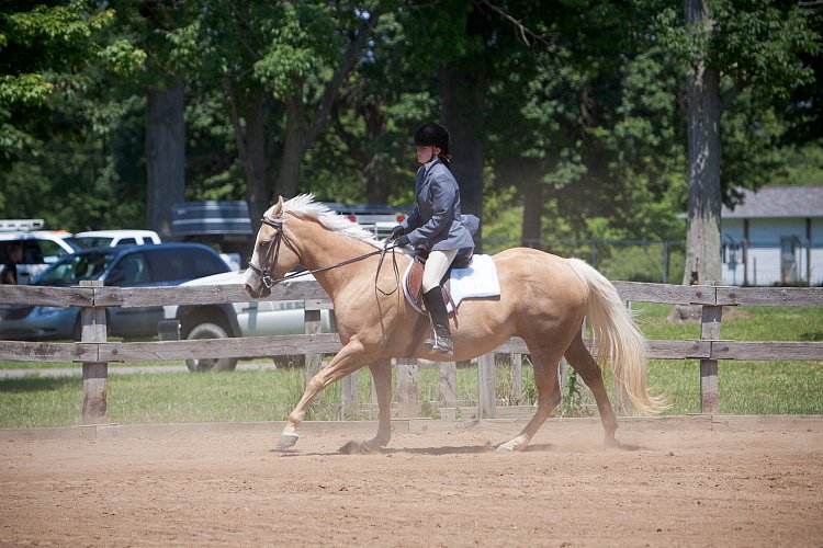 4H-Fun-Show-060912-490.JPG