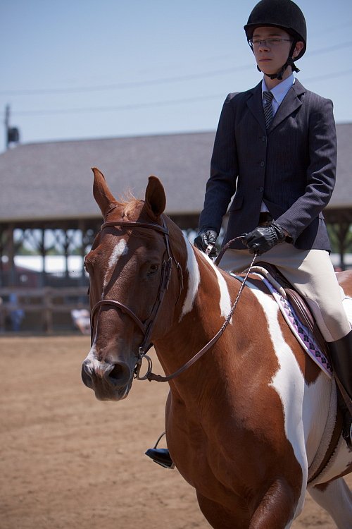 4H-Fun-Show-060912-494.JPG