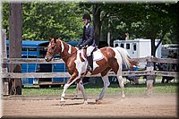 4H-Fun-Show-060912-481.JPG