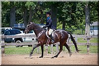 4H-Fun-Show-060912-486.JPG