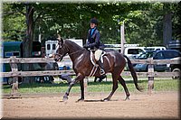 4H-Fun-Show-060912-487.JPG